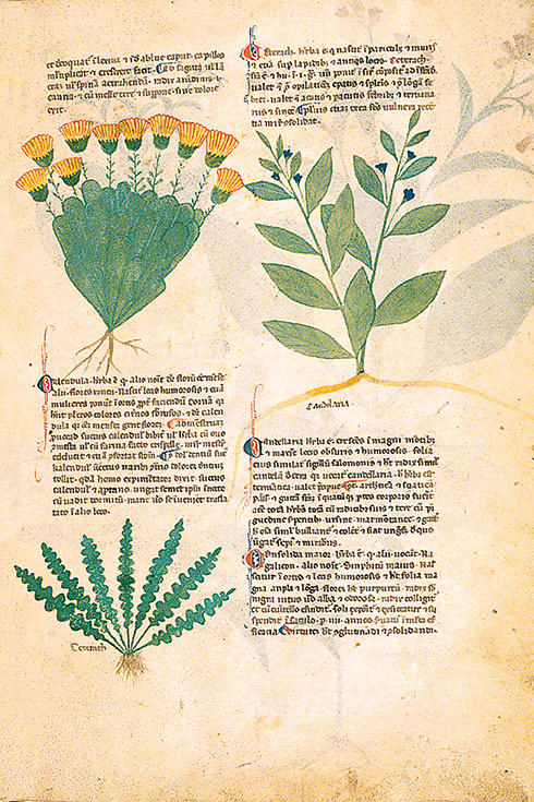 i 021